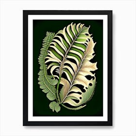 Ribbon Fern 1 Vintage Botanical Poster Art Print