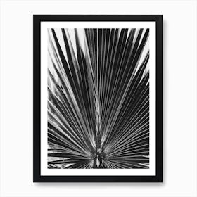 Palm Leaf 6 Art Print