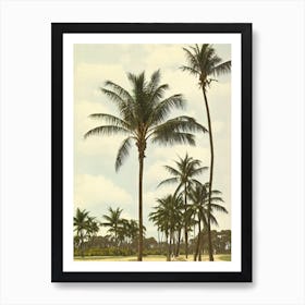 Rainbow Beach Australia Vintage Art Print