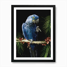 Blue Macaw Parrot Art Print