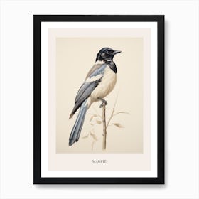 Vintage Bird Drawing Magpie 2 Poster Art Print