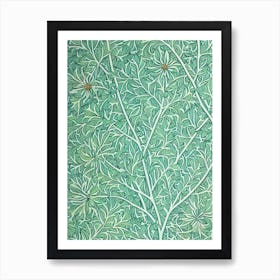 Bur Oak tree Vintage Botanical Art Print