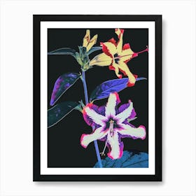 Neon Flowers On Black Petunia 3 Art Print