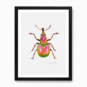 Rhynchites auratus, apricot weevil, watercolor artwork Affiche