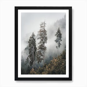 Three Foggy Pines Art Print