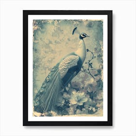 Vintage Cyanotype Inspired Peacock With Blossom 1 Art Print