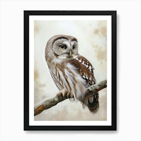 Boreal Owl Painting 2 Art Print