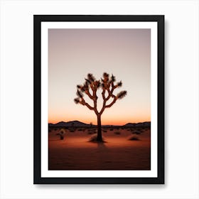  Photograph Of A Joshua Tree At Dusk  In A Sandy Desert 1 Art Print