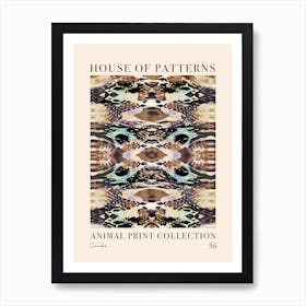 House Of Patterns Snake Animal Print Pattern 6 Art Print