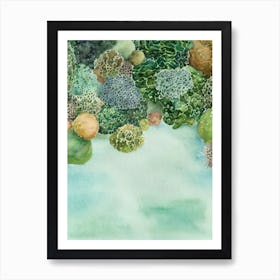 Sea Sponge Storybook Watercolour Art Print