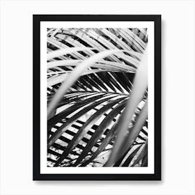 Black And White Palm Leaves 1 Art Print