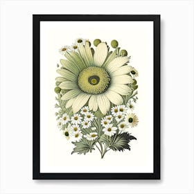 Daisy 2 Floral Botanical Vintage Poster Flower Art Print