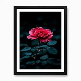 Dark Rose 118 Art Print