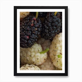 Blackberry Art Print