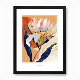 Colourful Flower Illustration Poster Protea 2 Art Print
