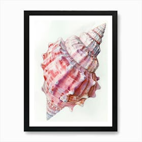 Pink Conch Shell 2 Poster