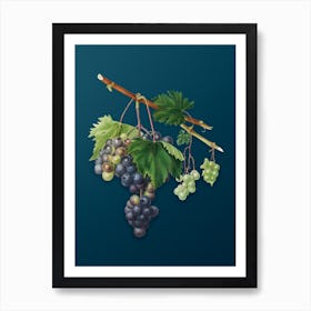 Vintage Grape from Ischia Botanical Art on Teal Blue n.0504 Art Print