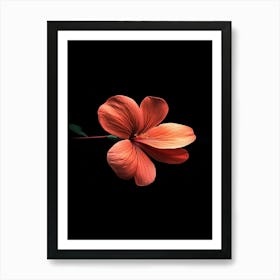 Hibiscus Flower 9 Art Print