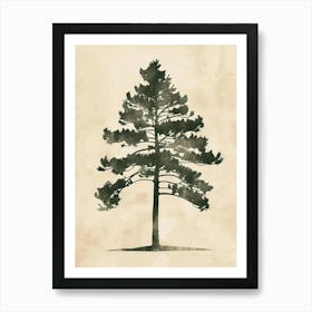 Balsam Tree Minimal Japandi Illustration 1 Art Print