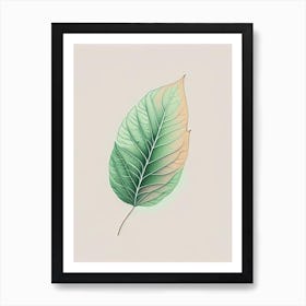 Mint Leaf Contemporary 7 Art Print
