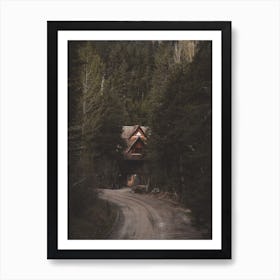 Road To Nature Cabin Art Print