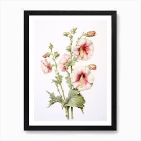 Pressed Flower Botanical Art Hollyhock 3 Art Print