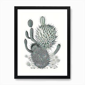 Stenocactus Cactus William Morris Inspired 3 Art Print