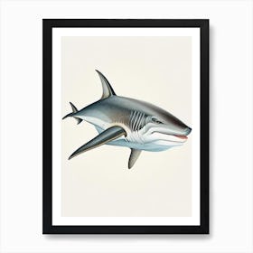 Galapagos Shark Vintage Art Print