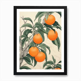 Tachibana Mandarin Orange 1 Vintage Japanese Botanical Art Print
