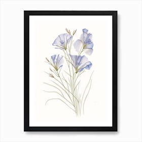 Flax Floral Quentin Blake Inspired Illustration 3 Flower Art Print