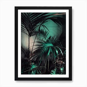 Palms In The Dark Art Print