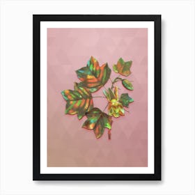 Vintage Tulip Tree Botanical Art on Crystal Rose n.0135 Art Print