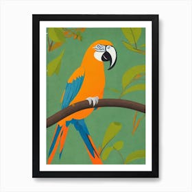 Macaw Midcentury Illustration Bird Art Print