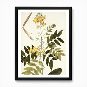 Yellow Hibiscus 1 Art Print