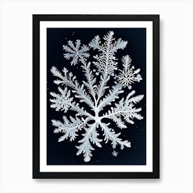 Fernlike Stellar Dendrites, Snowflakes, Vintage Botanical Illustration 1 Art Print
