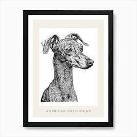 American Greyhound Dog Line Sketch 2 Poster Art Print