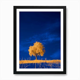 Lone Tree Art Print