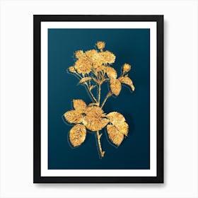 Vintage Vintage Pink Rosebush Botanical in Gold on Teal Blue n.0059 Art Print