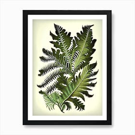 Royal Fern 2 Vintage Botanical Poster Art Print