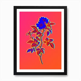 Neon White Anjou Roses Botanical in Hot Pink and Electric Blue n.0056 Art Print