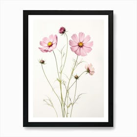 Pressed Flower Botanical Art Cosmos 2 Art Print