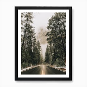 Forest Road Art Print