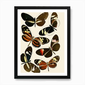 Vintage Butterflies In Flight Art Print