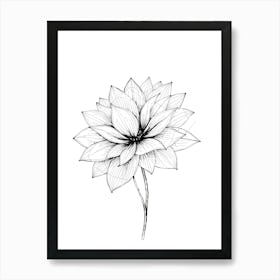 Lotus Flower 2 Art Print