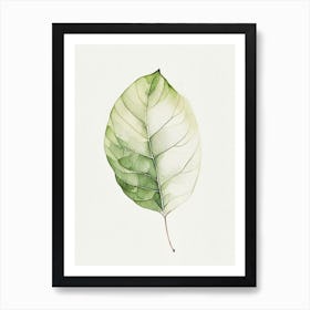Potato Leaf Minimalist Watercolour 1 Art Print