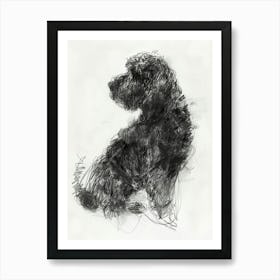 Spanish Water Dog Dog Charcoal Line 1 Art Print