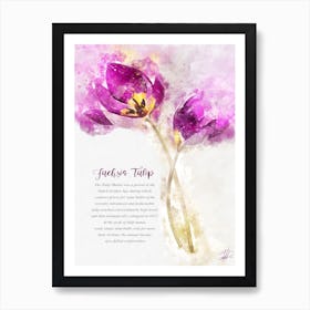 Fuchsia Tulip Art Print