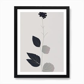 Blackberry Blossom Wildflower Simplicity Art Print