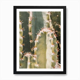 Small Spiked Cactus Art Print