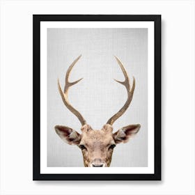 Deer  Poster